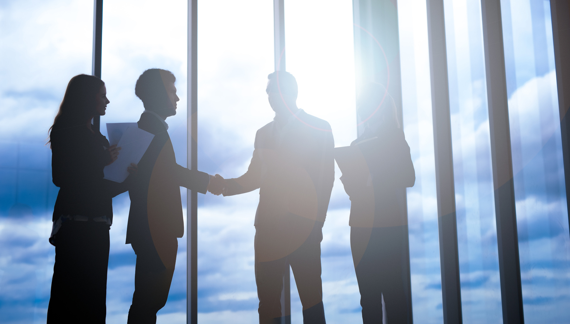 Access Horizon — role